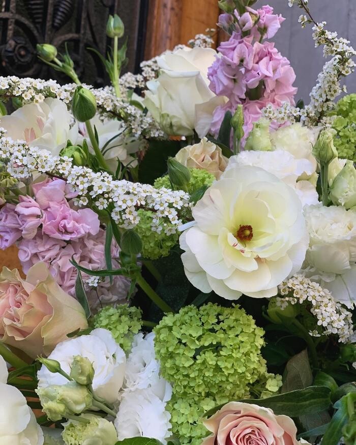 Bilder Les Fleuridées