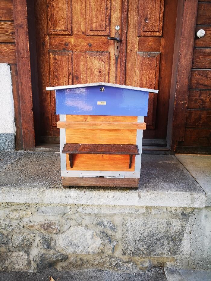 Bilder Rithner apiculture SA