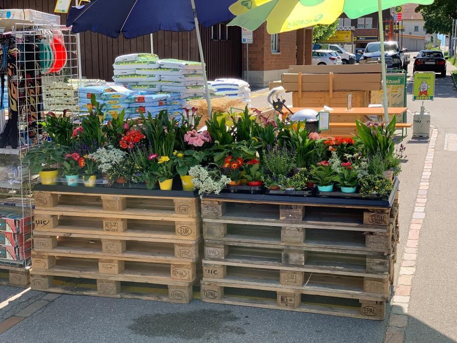 Bilder LANDI Maur Genossenschaft