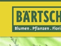 Website Screenshot Bärtschi Blumen Pflanzen Floristik