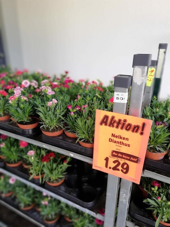 Bilder Lidl Schweiz