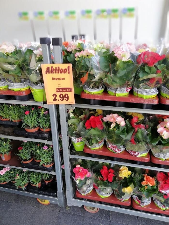 Bilder Lidl Schweiz