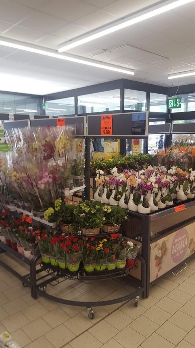 Bilder Lidl Schweiz