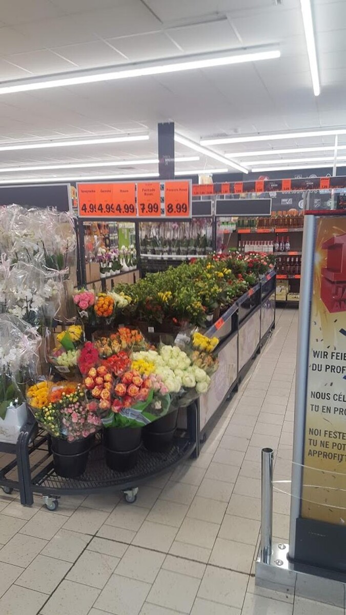 Bilder Lidl Schweiz