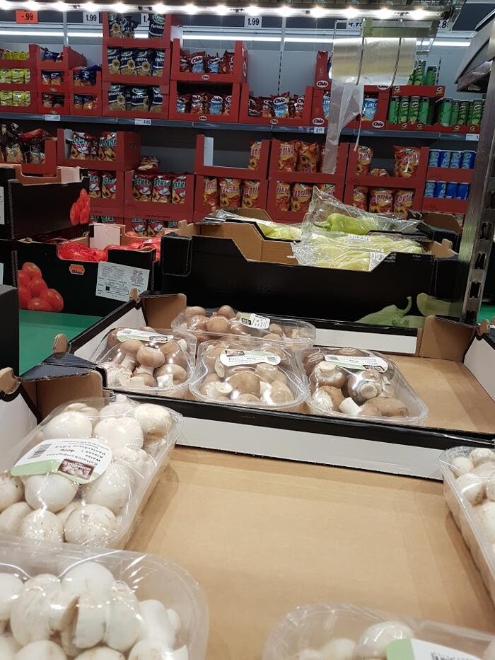 Bilder Lidl Schweiz