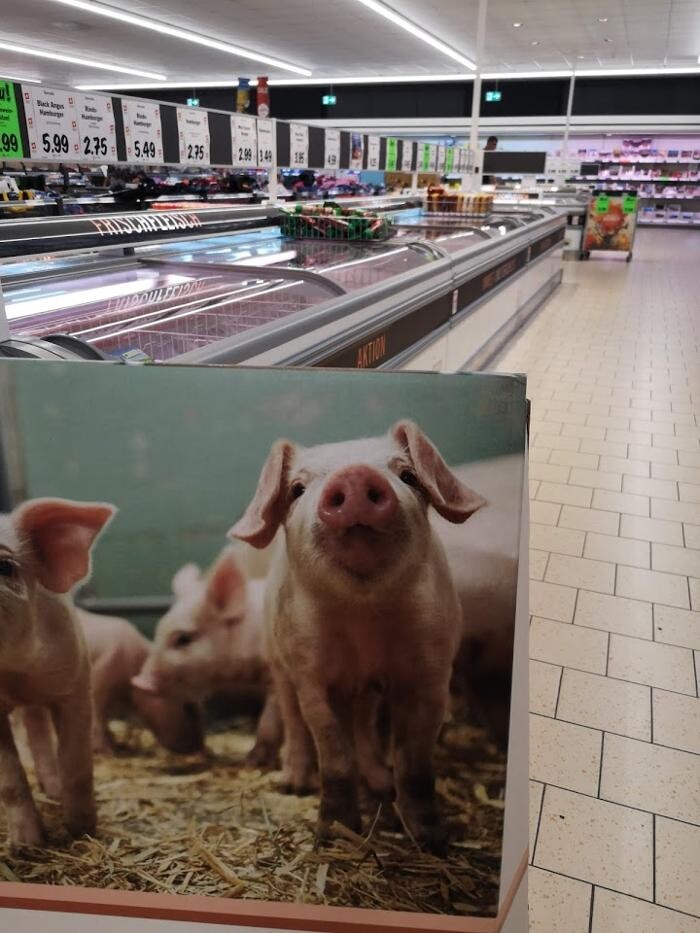 Bilder Lidl Schweiz