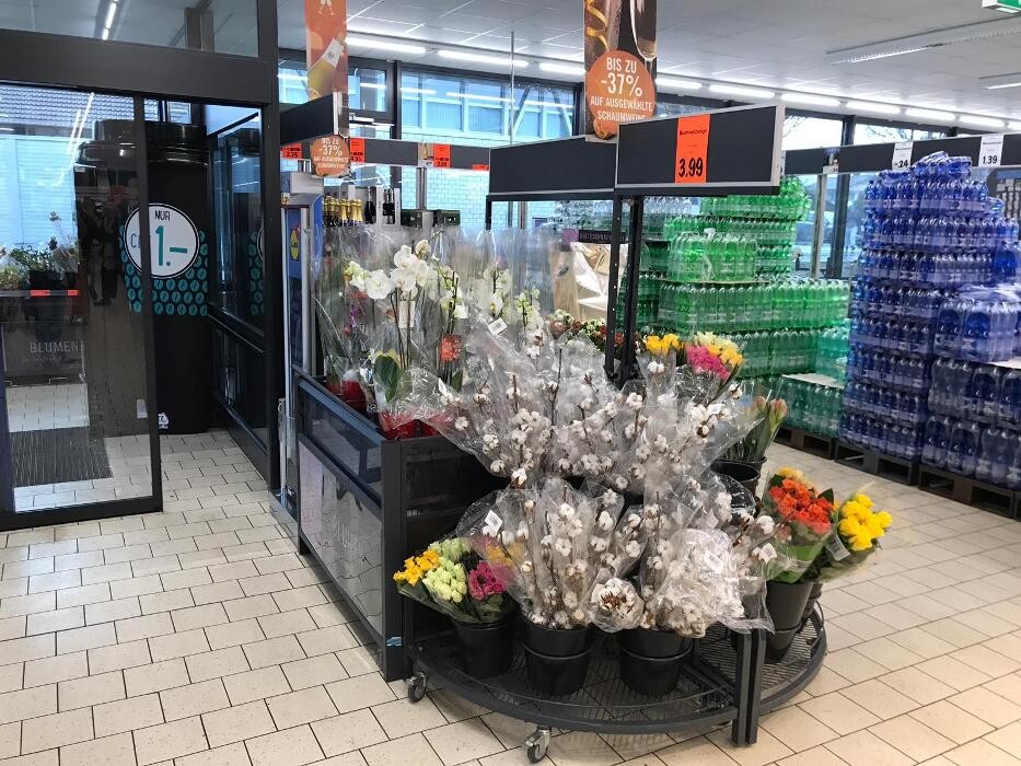 Bilder Lidl Schweiz