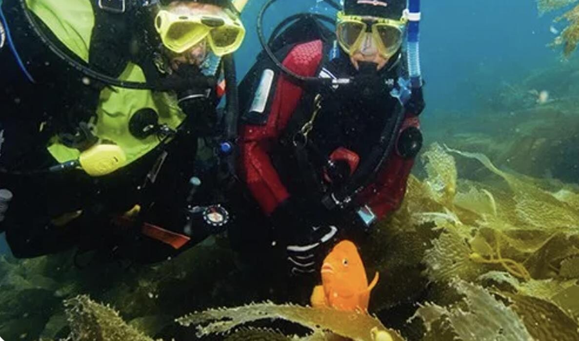 Bilder Diving Shop Immersion SA Genève