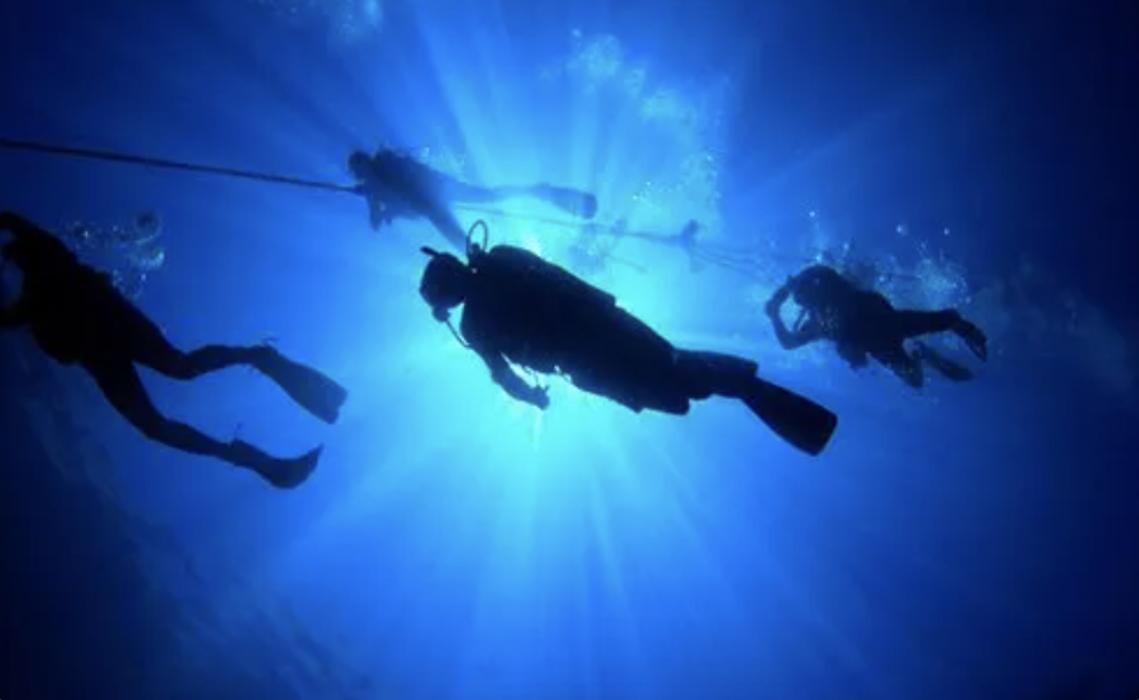 Bilder Diving Shop Immersion SA Genève