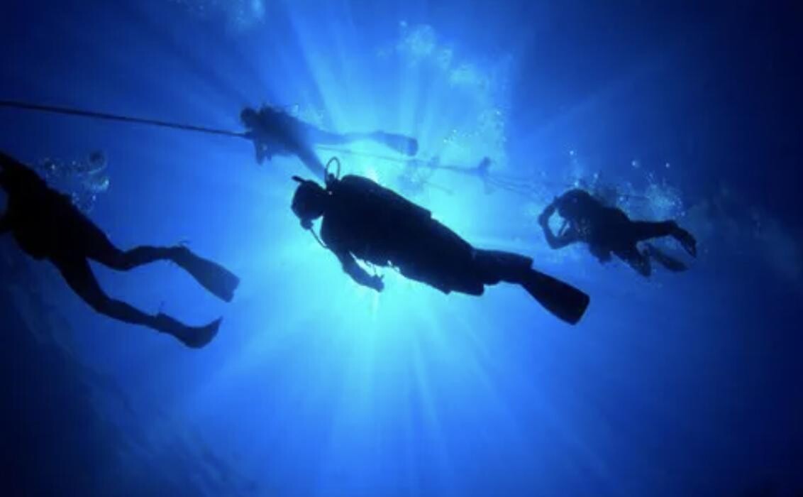 Bilder Diving Shop Immersion SA Genève
