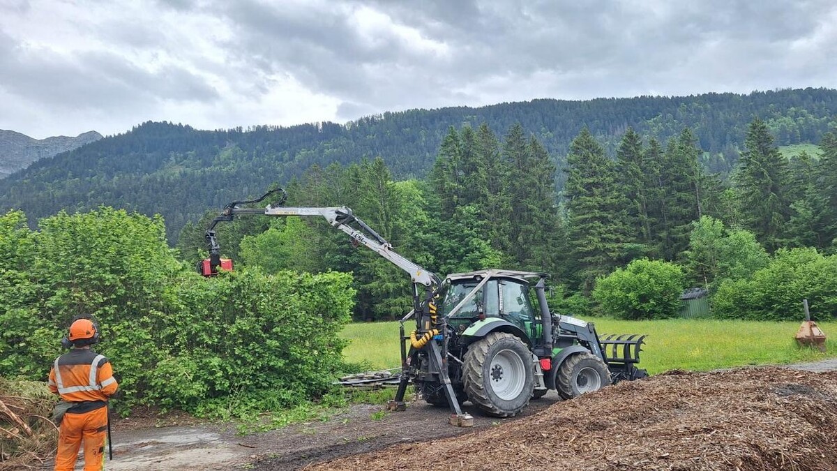 Bilder Pousaz SA