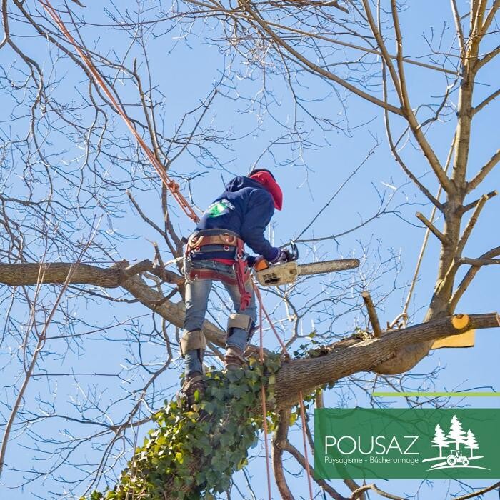 Bilder Pousaz SA