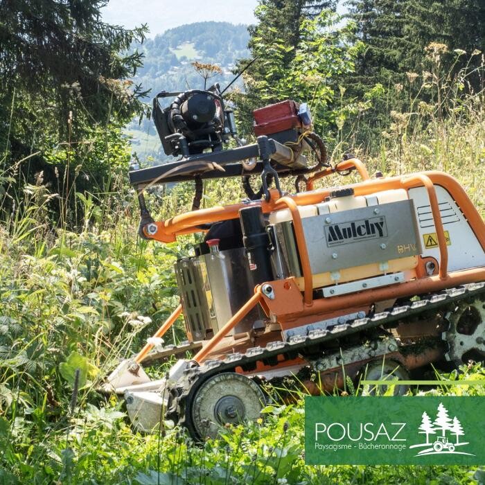 Bilder Pousaz SA