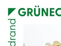 Website Screenshot GRÜNECK am Waldrand, Alters- und Pflegeheim