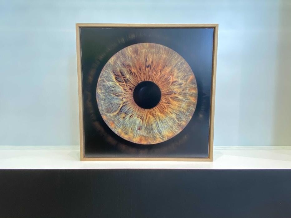 Bilder SANDIE CLÉMENT OPTICIENS