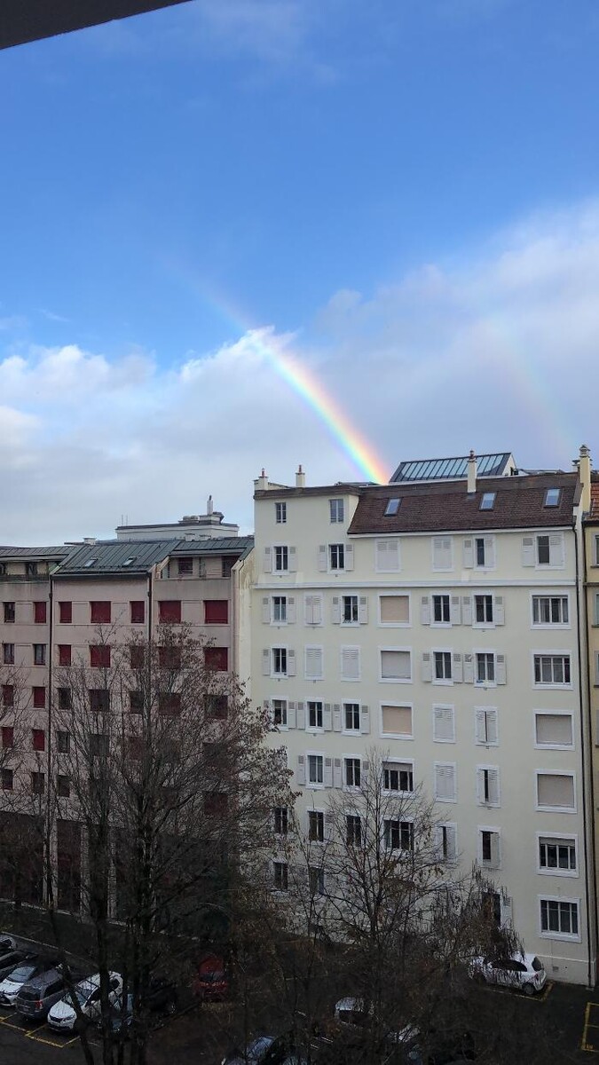 Bilder Aebischer Déménagement
