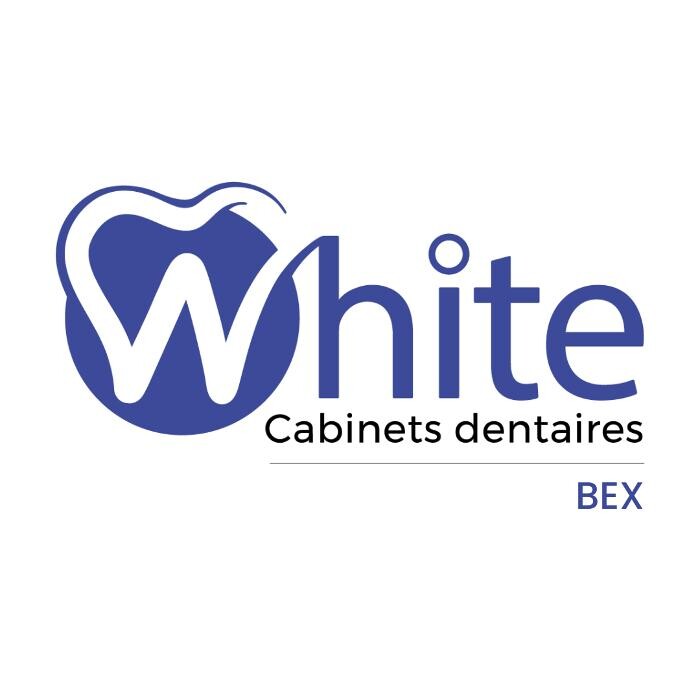 White - Bex Sàrl Logo