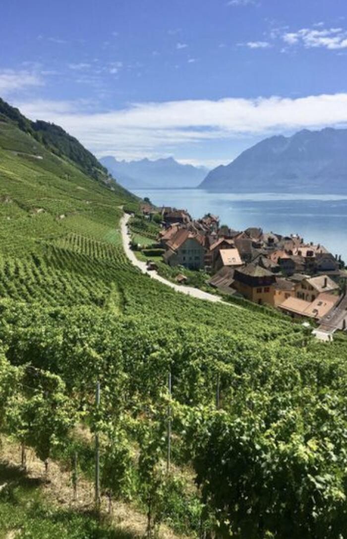 Bilder Le Verre Gourmand - Dégustation de vins