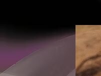 Website Screenshot Hofhair Coiffure