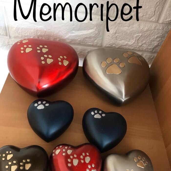 Bilder Memoripet.ch - Pompes funèbres pour animaux