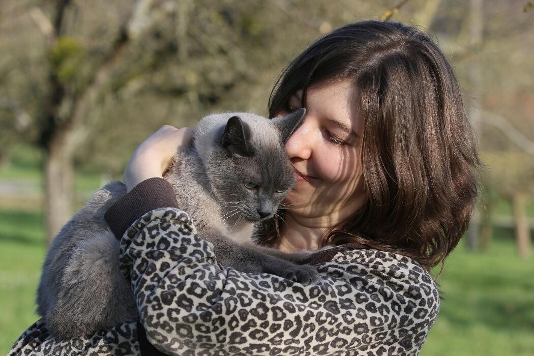 Bilder Memoripet.ch - Pompes funèbres pour animaux