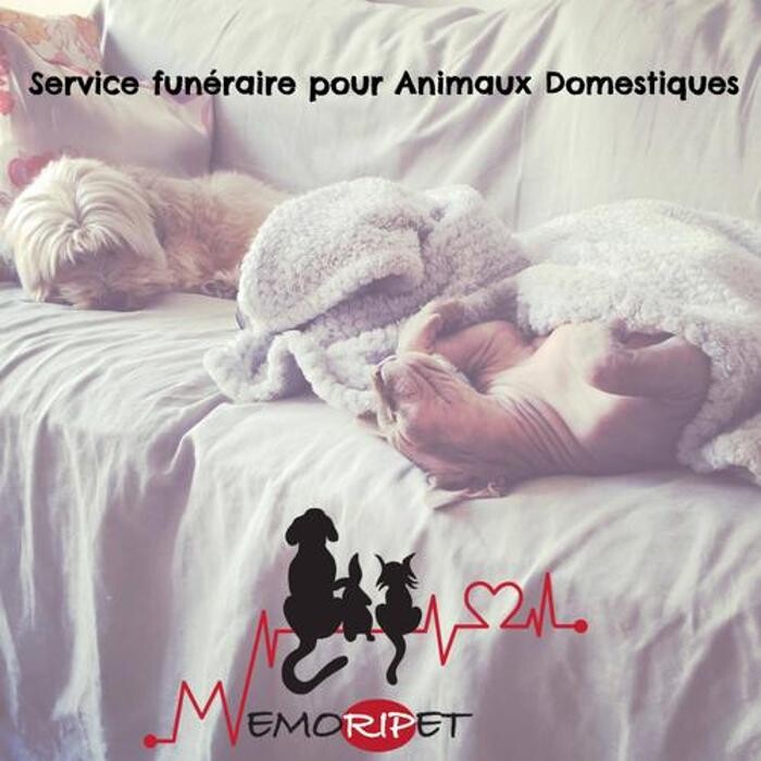 Memoripet.ch - Pompes funèbres pour animaux Logo
