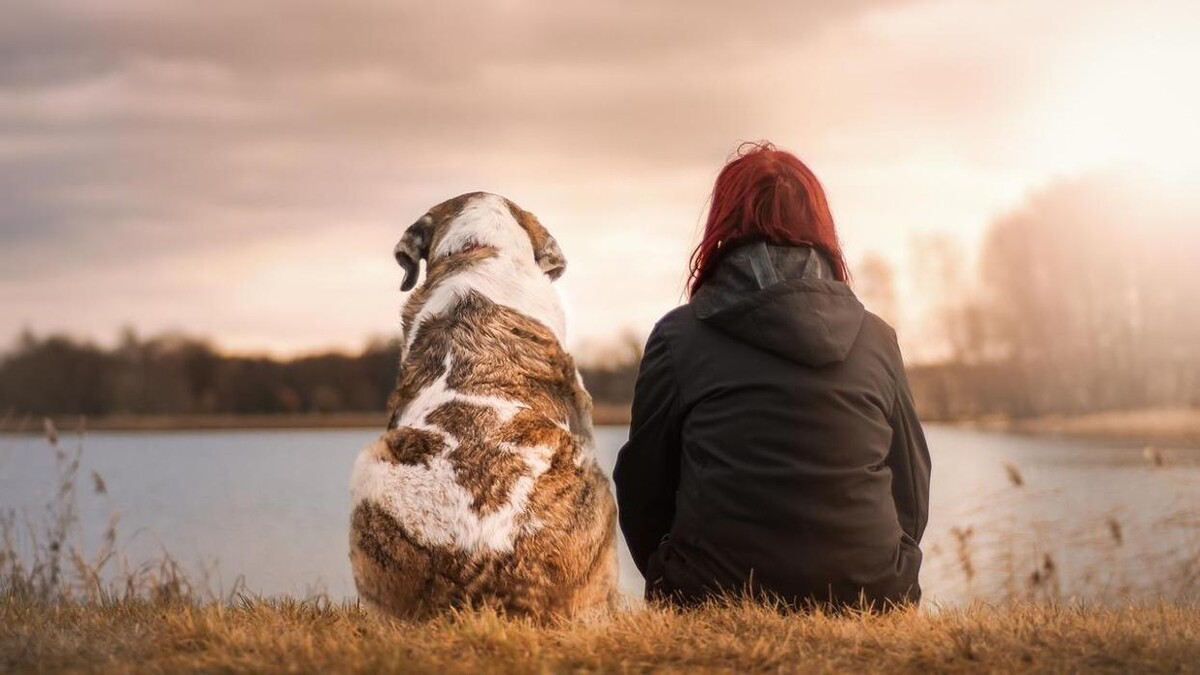Bilder Memoripet.ch - Pompes funèbres pour animaux