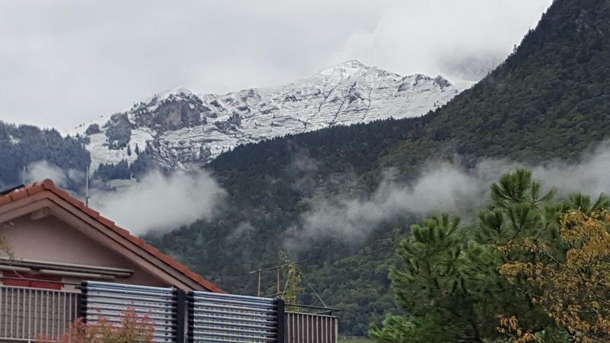 Bilder Lidl Suisse