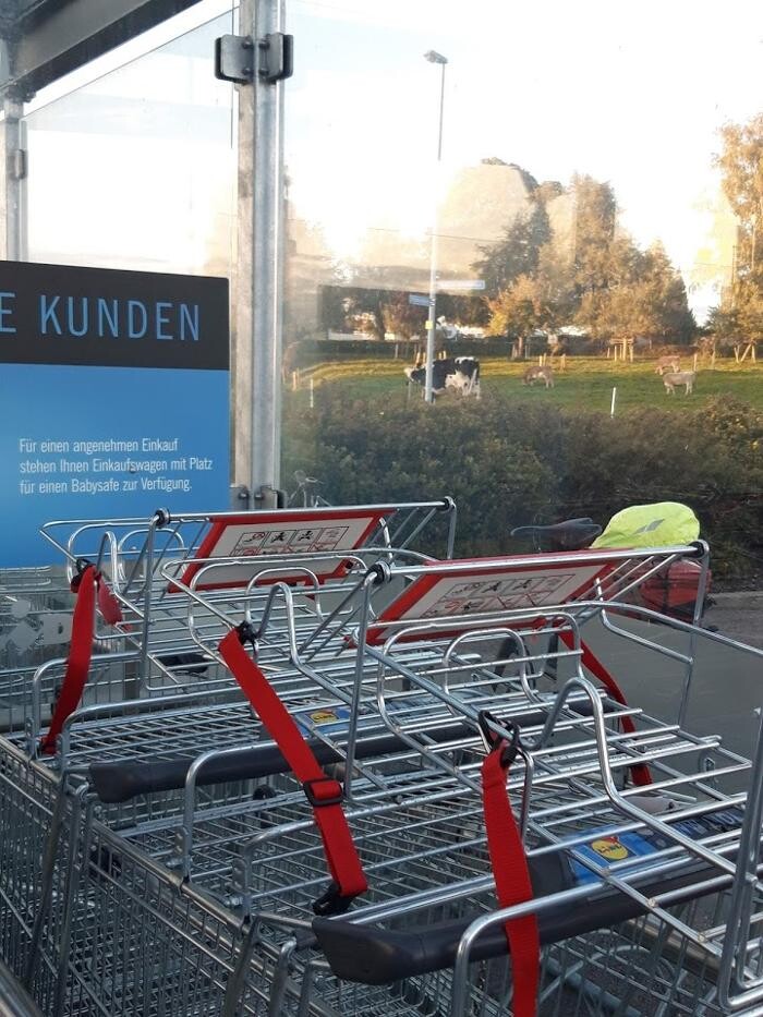 Bilder Lidl Schweiz