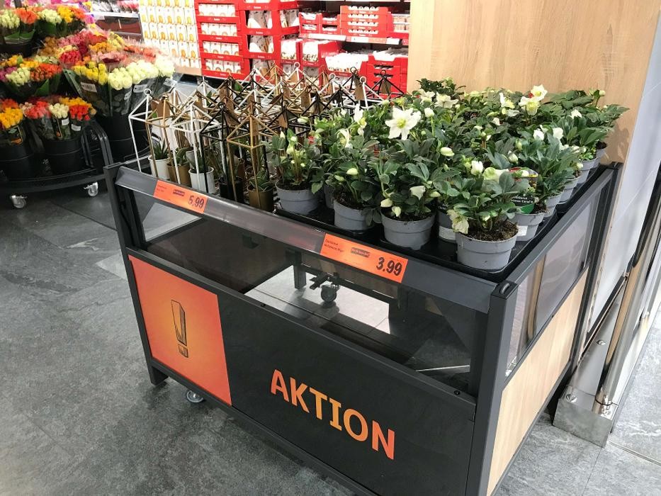 Bilder Lidl Schweiz
