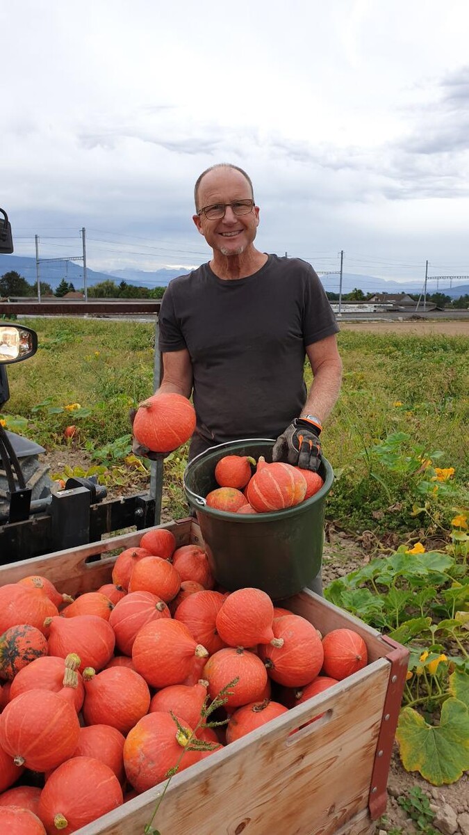 Bilder Marché Balmer