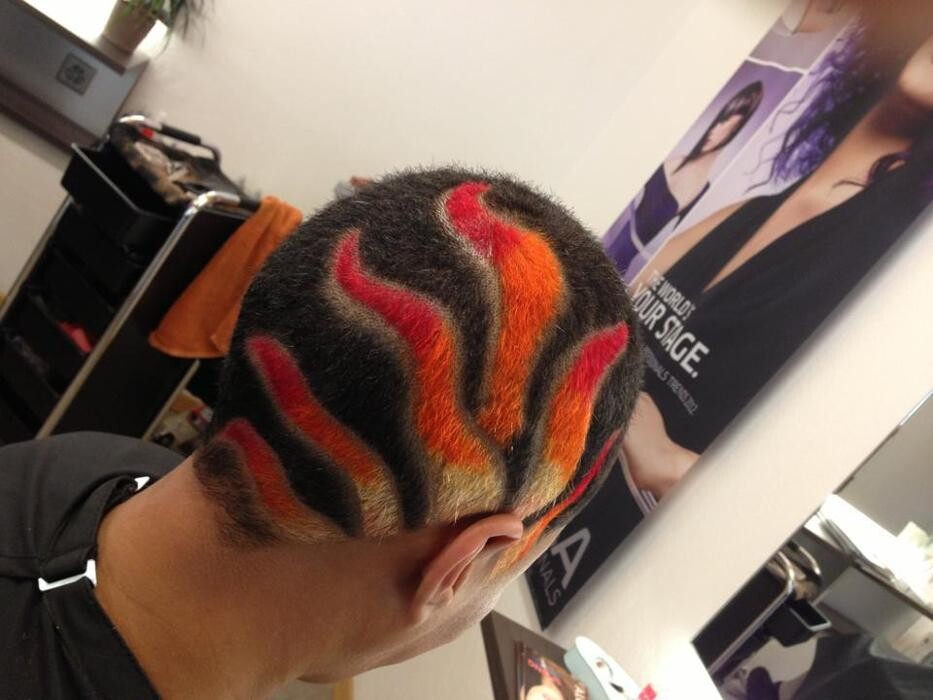 Bilder Coiffeur Chamäleon