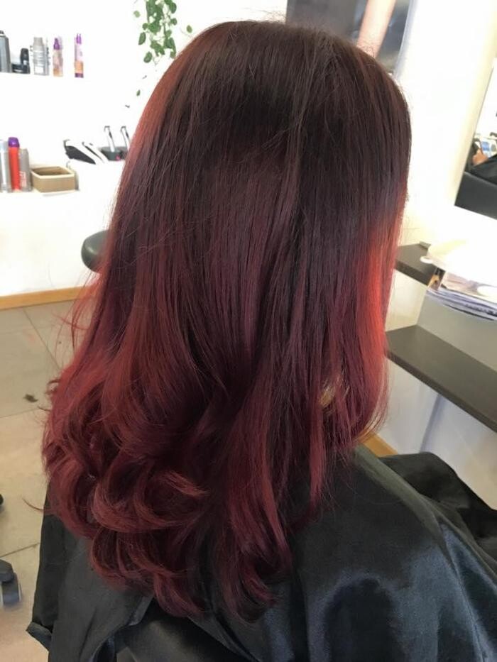 Bilder Coiffeur Chamäleon