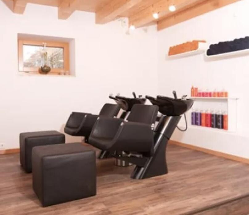 Bilder Coiffeur Chamäleon