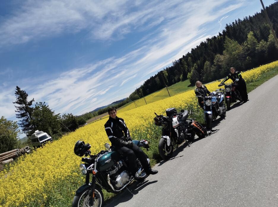 Bilder Fahrschule Chris
