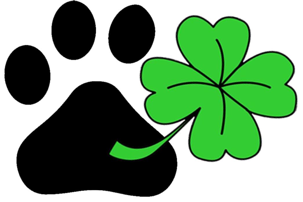 Pfotenglück Hunde- und Katzenfressnäpfe, Maltipoo Hobbyzucht Logo