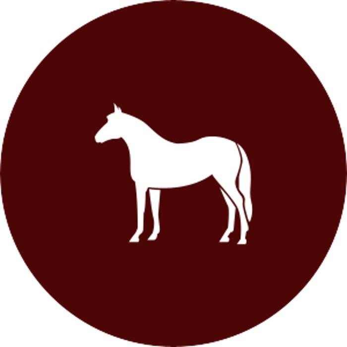 AnimalTouch Pferdeosteopathie Logo