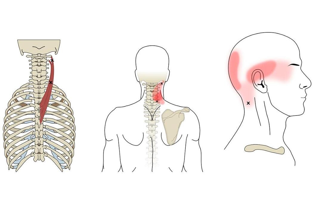 Bilder Physiotherapie Moser & Klumpp