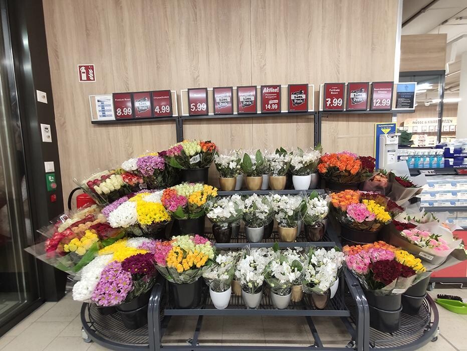 Bilder Lidl Schweiz