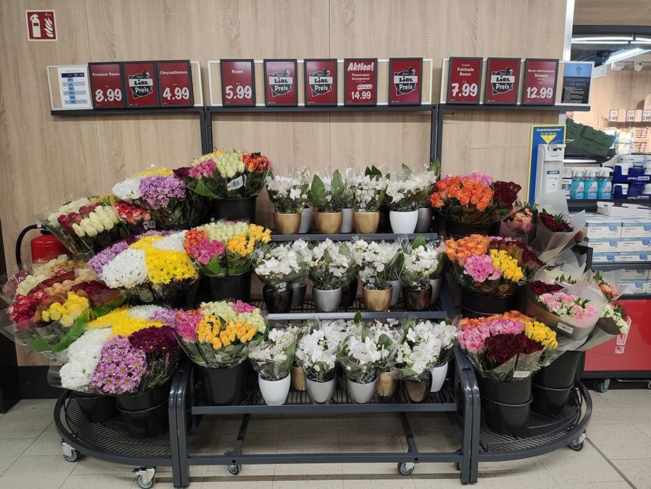 Bilder Lidl Schweiz