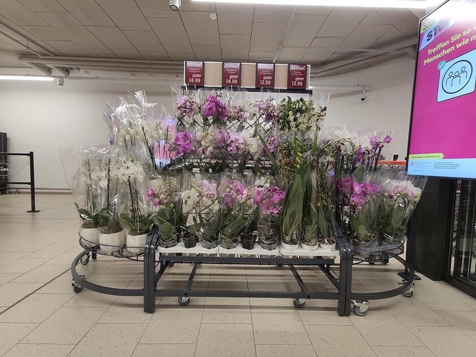 Bilder Lidl Schweiz