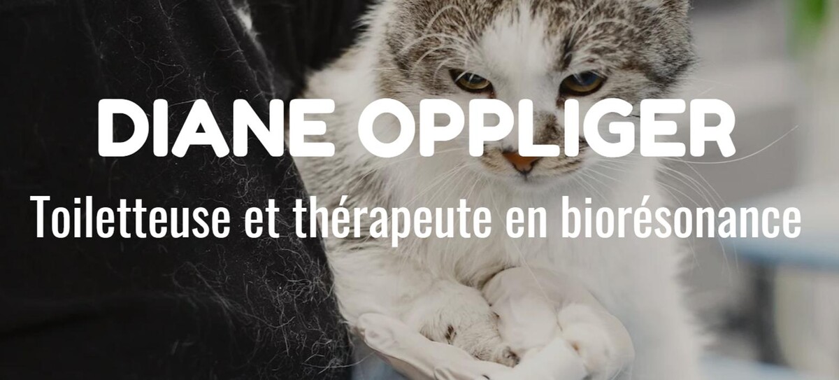 Bilder O-POIL Thérapie