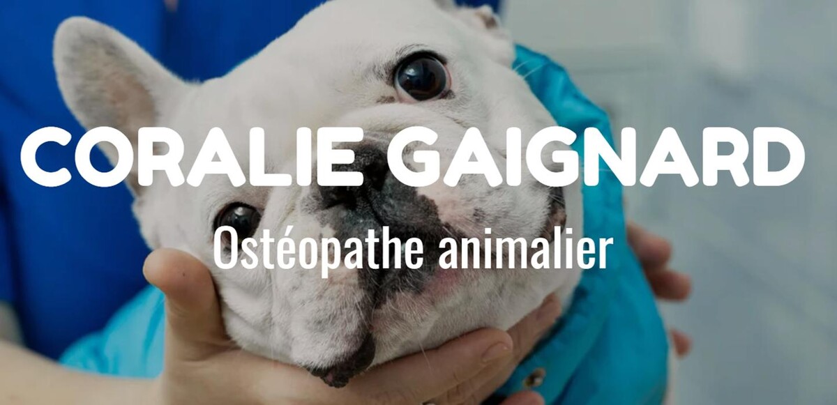 Bilder O-POIL Thérapie