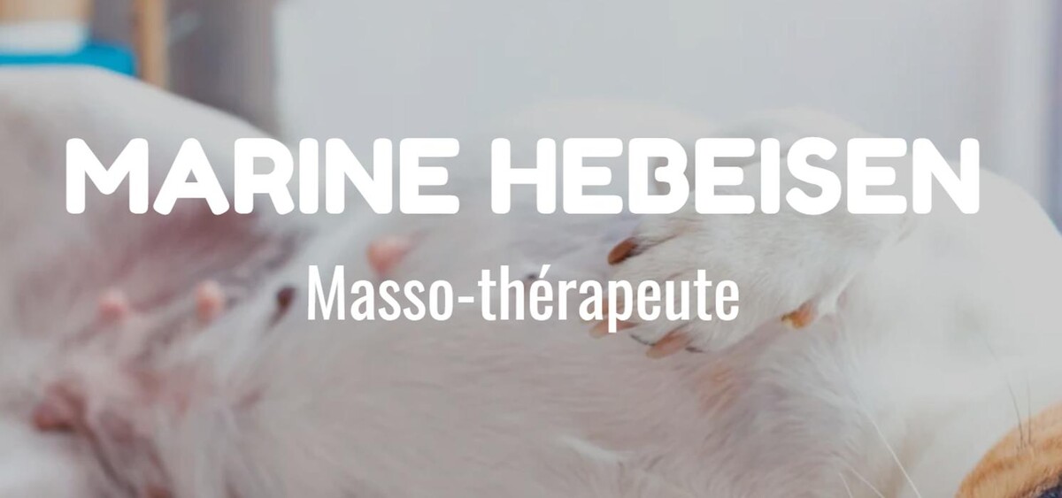 Bilder O-POIL Thérapie