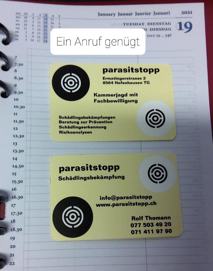 Bilder Thomann + parasitstopp
