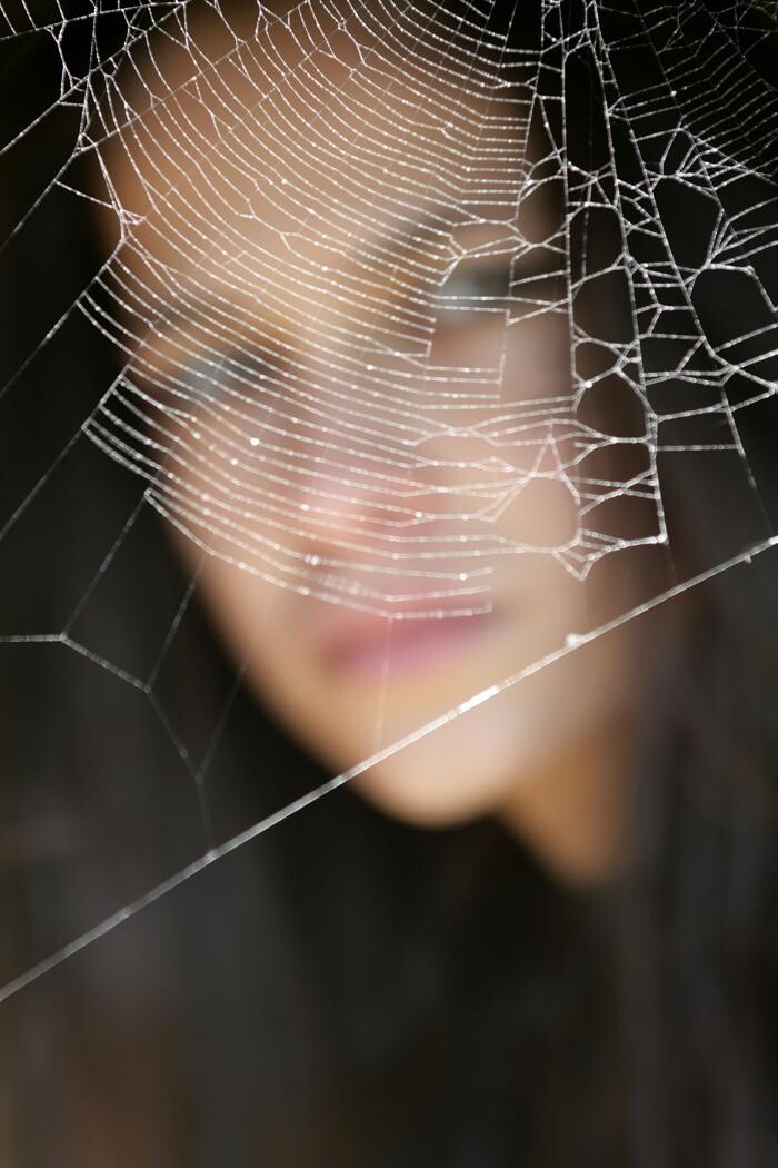 Bilder Thomann + parasitstopp