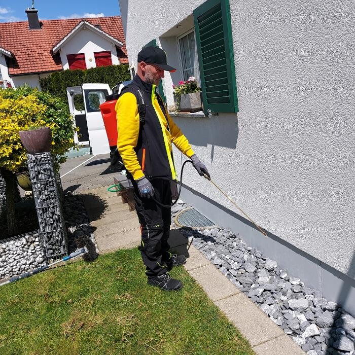 Bilder Thomann + parasitstopp