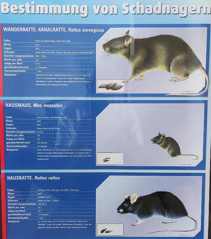 Bilder Thomann + parasitstopp