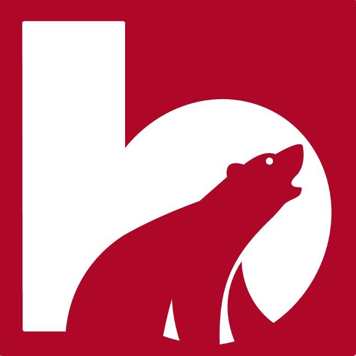 Bären Elektro AG Logo