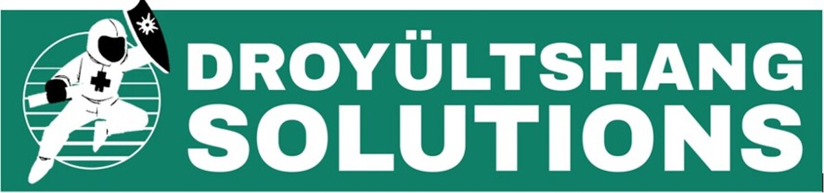 Droyültshang Solutions Logo